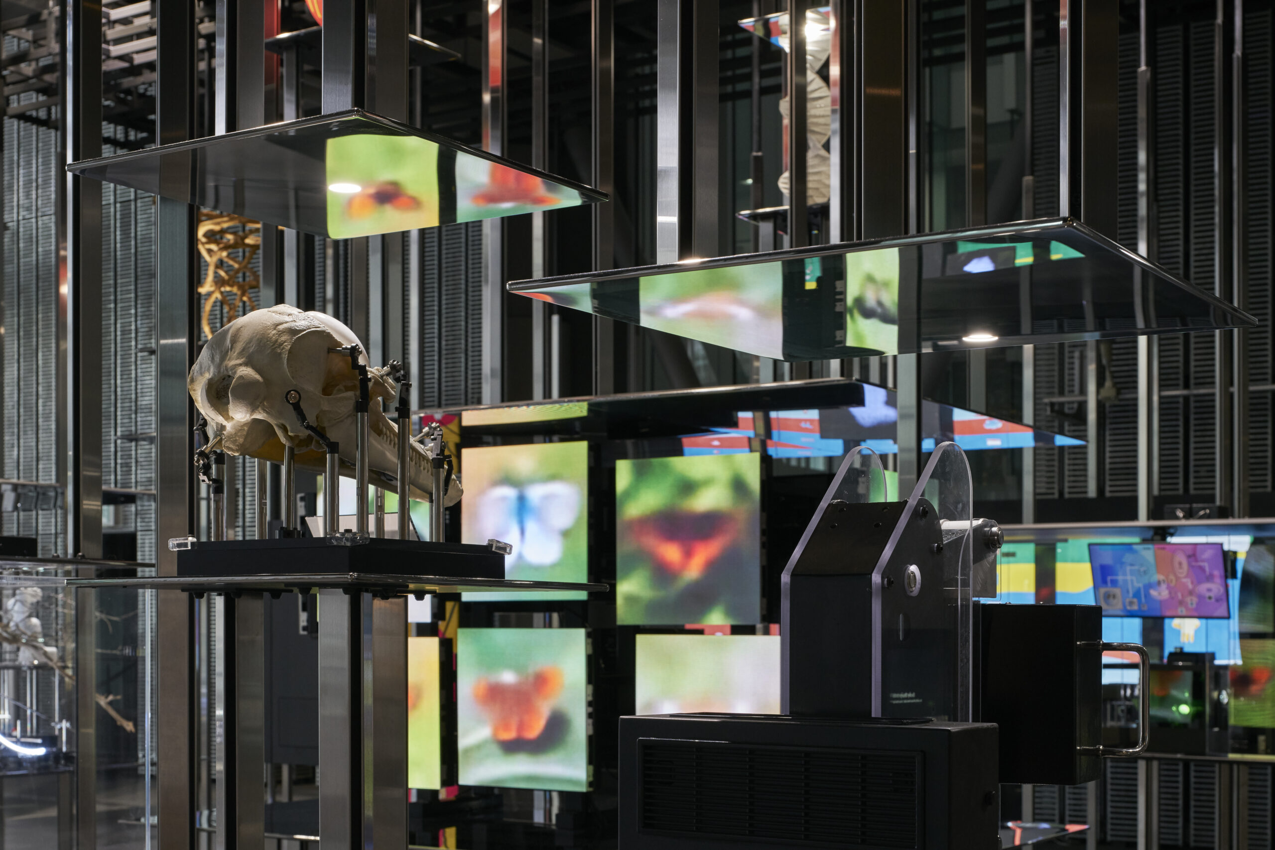 Digitally Natural – Naturally Digital” Permanent Exhibition